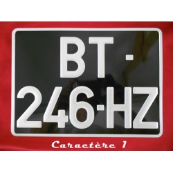 Plaque minéralogique noire 275x200 caractère 1